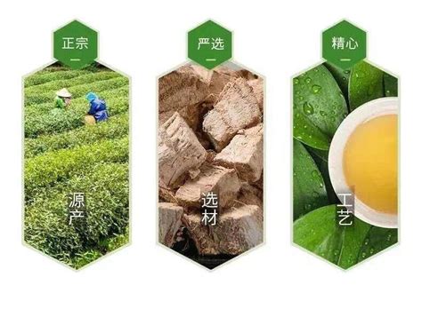 壽竹根|寿竹根有什么副作用啊？